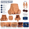 Advanced birthing simulator trainer with pelvic model, twin fetus dolls, placentas, umbilical cords and carrying case for obstetric training